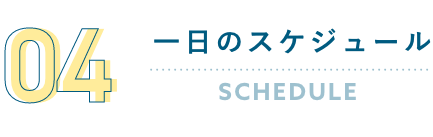 一日のスケジュール